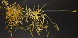 Georges Mathieu, Amalrius (814), 1956, Oil on canvas