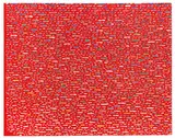 Camelopardalis III by Piero Dorazio, 1976, Oil on canvas, sold Jun 2016