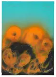 Pod Flower by Otto Piene, 1979, Oil, sold Jun 2016