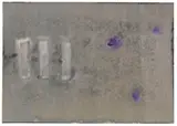 Günther Förg, Ohne Titel, 1996, Watercolor