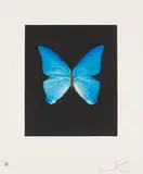 Providence by Damien Hirst, 2009, Etching and aquatint, sold Jun 2016