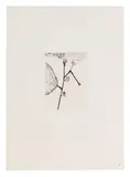 Louise Bourgeois, Homely Girl, A Life, 1992, Etching