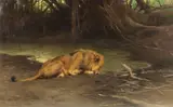 Wilhelm Kuhnert, Löwe an der Tränke
