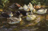 Enten im Teich (Enten am Bach) by Alexander Koester, Um 1909-1913, Oil on canvas, sold May 2016