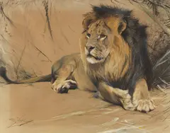 Wilhelm Kuhnert, Liegender Löwe, Ca. 1912-1916, Pastel