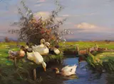 Alexander Koester, Sieben Enten am Graben