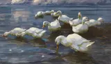 Enten am Seeufer by Alexander Koester, Um 1909-1913, Oil on canvas, sold May 2016