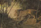 Wilhelm Kuhnert, Löwe, zum Flusse ziehend, 1917, Pastel