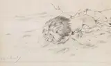 Wilhelm Kuhnert, Löwenpaar auf der Pirsch, Um 1900, Pencil drawing