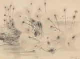 Wilhelm Kuhnert, In den Papyrussümpfen am Jipe-See zwischen Tansania und Kenia, 1891, Pencil drawing