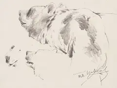 Wilhelm Kuhnert, Bären-Studien, Um 1900, Pencil drawing