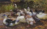 Meine Enten (Elf Enten am Ufer) by Alexander Koester, Um 1909-1913, Oil on canvas, sold Nov 2015