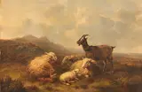 Eugène Verboeckhoven, Schafe und Ziegen auf der Weide