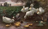 Alexander Koester, Erpel mit Enten und Küken am Seeufer, Ca. 1905-1910, Oil on canvas