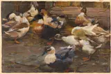 Alexander Koester, Enten vor dem Stall, Ca. 1905, Oil on canvas