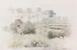 Paul Baum, Malven im Garten vor einer Allee, hinter dem Rathaus von St. Anna, Um 1898, Pencil drawing