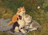 Benno Kogl, Drei Kätzchen mit Schmetterling, Oil on panel
