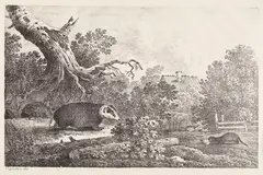 Max Joseph Wagenbauer, Dachs, Wiesel und Iltis vor einer großen Baumwurzel, 1806, Lithograph