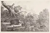Max Joseph Wagenbauer, Dachs, Wiesel und Iltis vor einer großen Baumwurzel, 1806, Lithograph