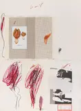 Cy Twombly, Natural History Part I, Mushrooms, 1974, Lithograph in colors