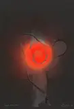 Otto Piene, Orange wird grün, 1966, Oil