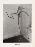 Sigmar Polke, Höhere Wesen befehlen, 1968, Offset