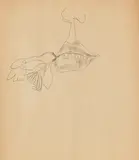 Andy Warhol, Nose and Mouth, Um 1954, Ball-point drawing