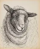 Henry Moore, Ohne Titel (Kopf eines Schafes), Um 1972, Pen and ink drawing