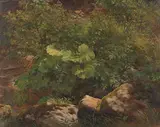 Gustav Friedrich Papperitz, Pflanzenstudie, Ca. 1860/1880, Oil