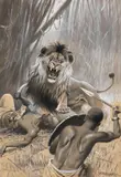 Wilhelm Kuhnert, Löwenjagd, 1894/95, Gouache