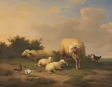 Eugène Verboeckhoven, Schafe und Lämmer