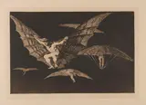 Francisco De Goya, 3 Bll. aus "Los Proverbios", 1815-1823, Etching and aquatint