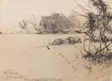 Wilhelm Kuhnert, Löwin, sich drückend in Sicherheit bringend, 1905, Pencil drawing