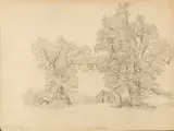 Carl Schweich, Schlehdorf im September, Pencil drawing