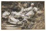 Alexander Koester, Sechs Enten am Schilfufer, Um 1900, Charcoal drawing
