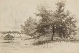 Sion Longley Wenban, Landschaft bei Schleißheim, 1879, Charcoal drawing