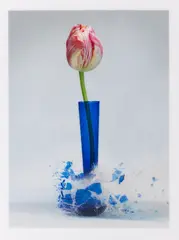 Martin Klimas, Ohne Titel, 2007, Photography