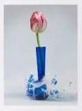 Martin Klimas, Ohne Titel, 2007, Photography