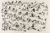 Henri Michaux, Sans titre