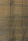 Alexander Ernst Voigt, Ohne Titel