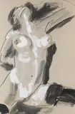 Luciano Castelli, Nude