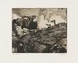 Horst Janssen, Landschaften, 1971/73, Portfolio