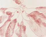 Christian Rohlfs, Große Magnolie