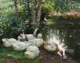 Alexander Koester, Sechs Enten am Teichufer, Um 1908, Oil on canvas
