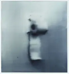 Loo Paper by Gerhard Richter, 1994, Cibachrome print, sold Dec 2013