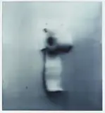Loo Paper by Gerhard Richter, 1994, Cibachrome print, sold Dec 2013