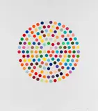 Cephalothin by Damien Hirst, 2007, Etching and aquatint, sold Dec 2013