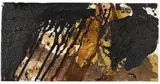 Jonathan Meese, Amerika im Waldviertel