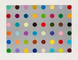Histidyl by Damien Hirst, 2008, Silkscreen in colors, sold Dec 2013