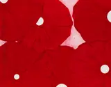 Six Red Flowers by Donald Sultan, 1999, Woodcut in colors, sold Dec 2013